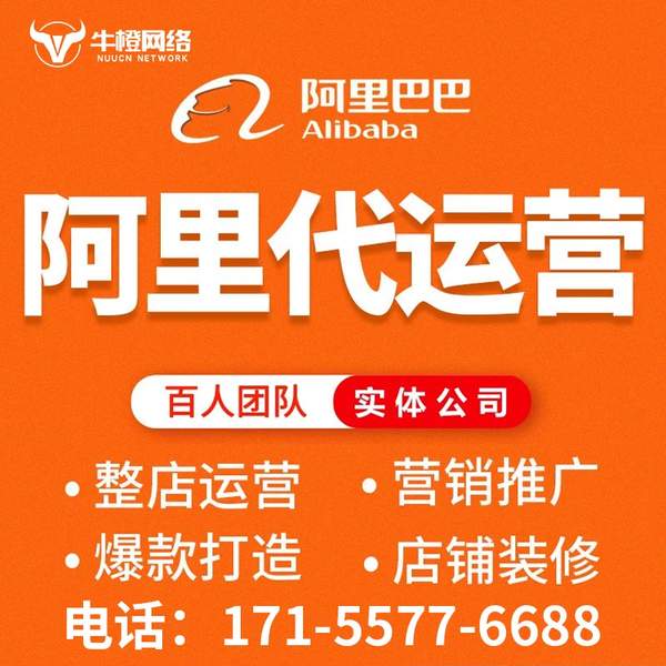 大丰电商代运营