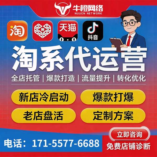 大丰电商代运营