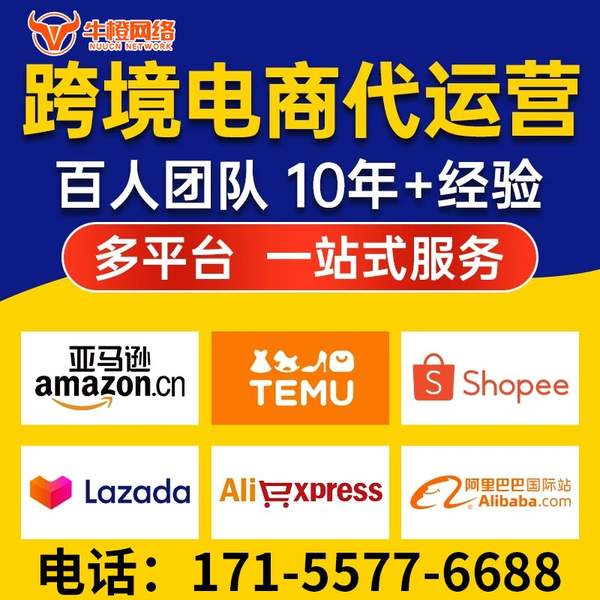 大丰电商代运营