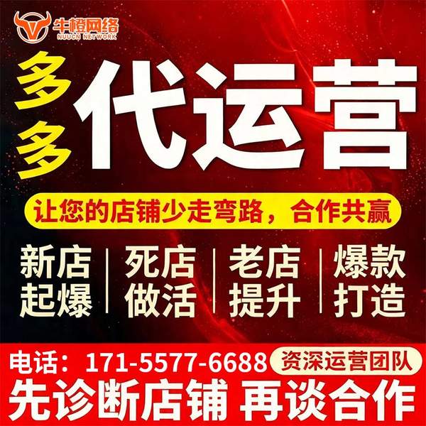 大丰电商代运营