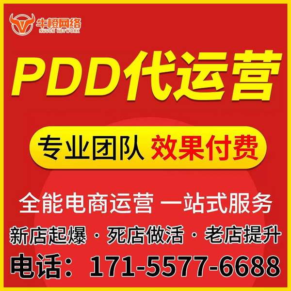 大丰电商代运营