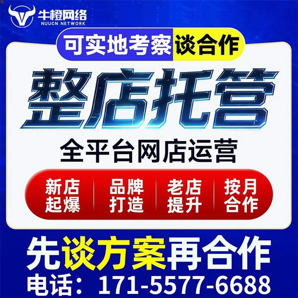 大丰电商代运营