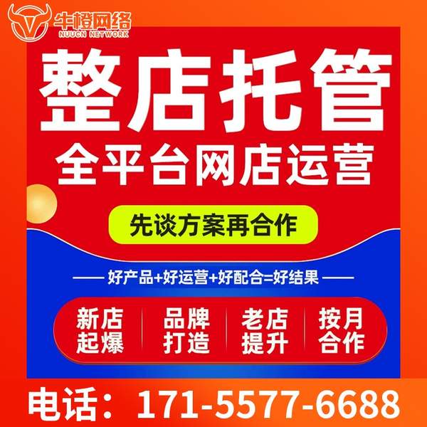 大丰电商代运营