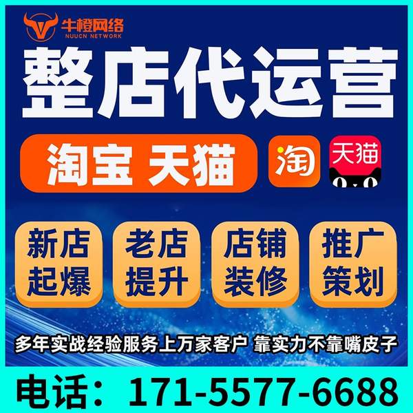大丰电商代运营