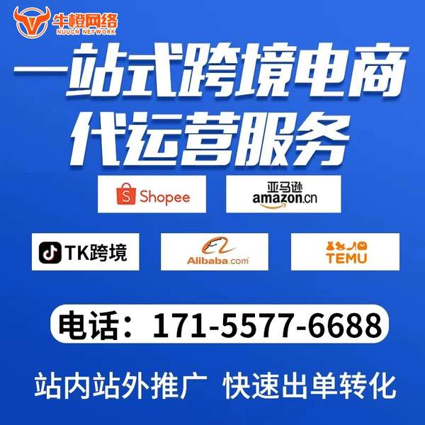 大丰电商代运营