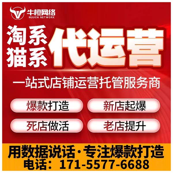 大丰电商代运营
